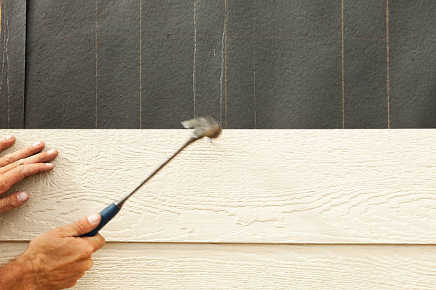 Best Aluminum Siding Installation  in Sidney, IL
