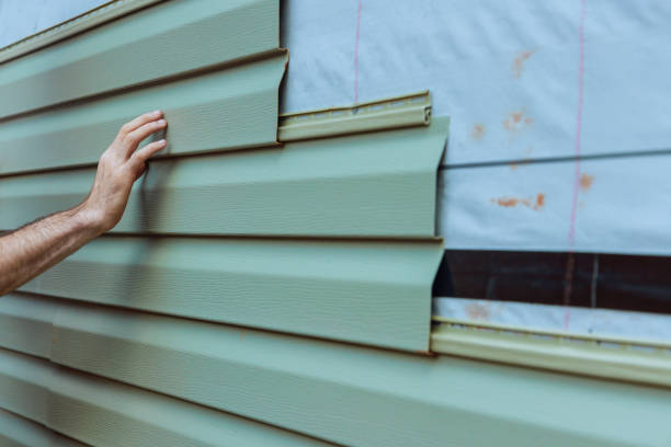 Affordable Siding Repair and Maintenance Services in Sidney, IL